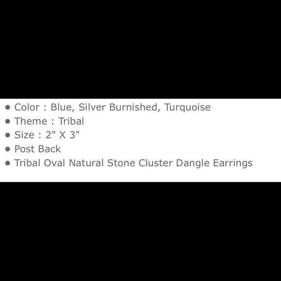 🐾Turquoise Earrings🐾 - Picture 3 of 5